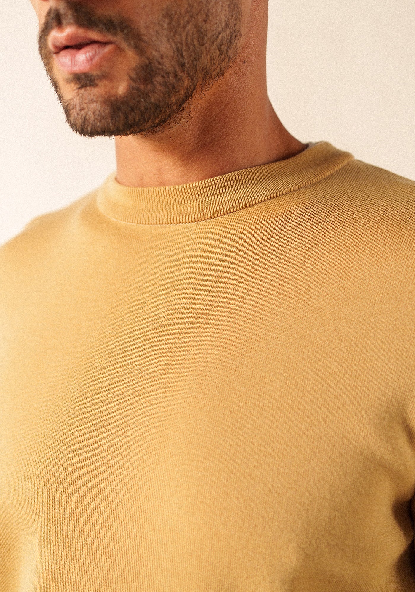 Jersey cruiser (TOILE)