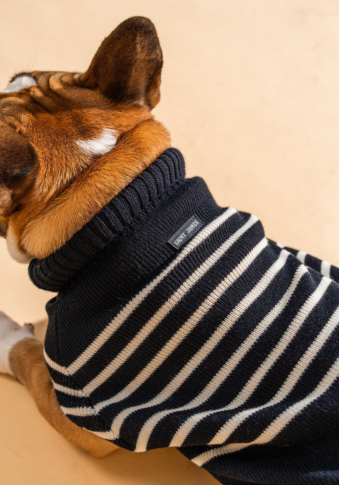 Dog jumper Toutoupull (NAVY/ECUME)