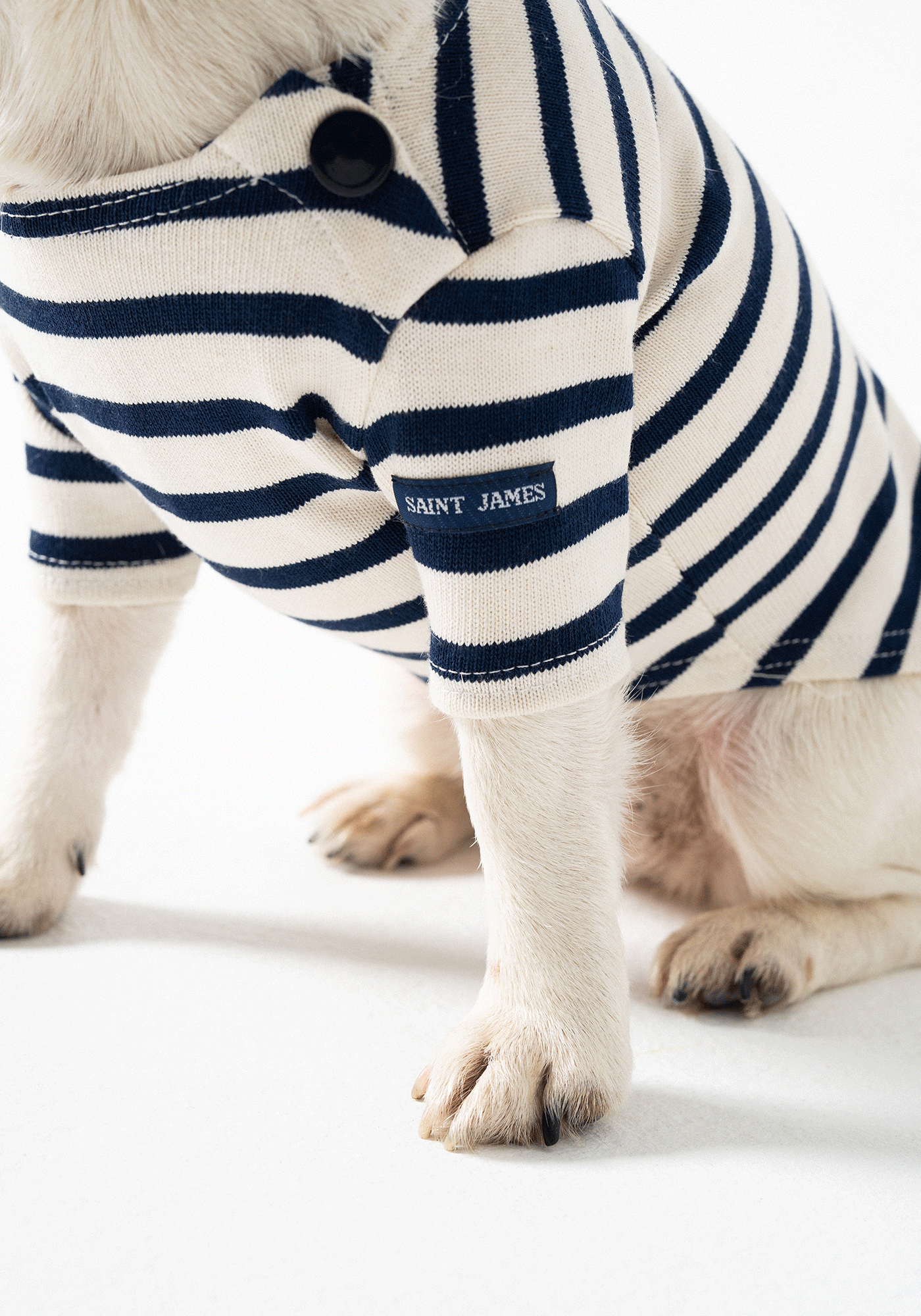 Dog Breton shirt Toutounière (ECRU/MARINE)