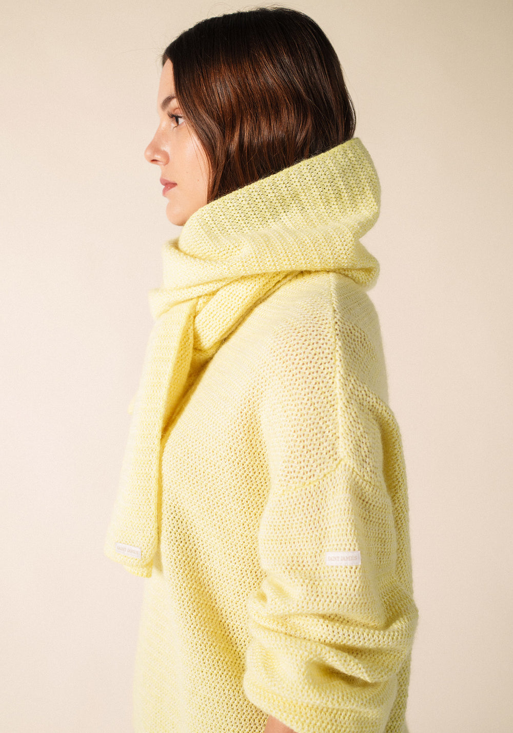 Ascain Scarf (AUBE/BLANC D'HIVER)